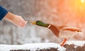 A man feeds a duck bread from his hand in winter in a public park.