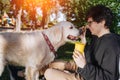 Man feeds his dog snacks for obedience in park Royalty Free Stock Photo