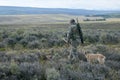 Man in field camouflage with rifle and hunting dog
