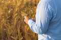 A man in the field writes about how the cereal plants grow