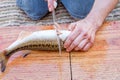 Man fillets fresh fish. Royalty Free Stock Photo