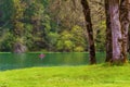 Man fishes from Kayak at Hagg Lake Royalty Free Stock Photo