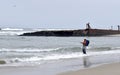 A man fishes in the surf next to a shipwreck in the Salinas River National Wildlife Refuge