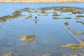 Man fishing at the beach in the center of Porto Torres on Sardinia, Italy Royalty Free Stock Photo