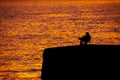 Man Fishing at Boardwalk, Montevideo, Uruguay