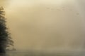 Man fishing on Foggy Eagle Lake Adirondacks New York Royalty Free Stock Photo