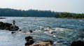 A man fishing on Narmada river is isolated with a clean water background, Neat, clean water and environment.