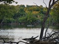 Man Fishing at Veterans Park in Spring Hill KS Royalty Free Stock Photo