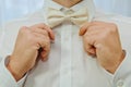 Man fixing his bow tie. Man groom in wedding suit with a bow tie. Close-up Royalty Free Stock Photo