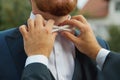 Man fixing his bow tie. Man groom in wedding suit with a bow tie. Close-up Royalty Free Stock Photo