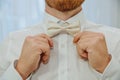 Man fixing his bow tie. Man groom in wedding suit with a bow tie. Close-up Royalty Free Stock Photo