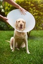 Man fixing plastic cone