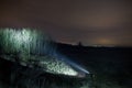 Man with flashlight in forest at night Royalty Free Stock Photo