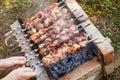 A man flips pork skewers grilled over coals on a brick grill. Delicious weekend barbecue Royalty Free Stock Photo