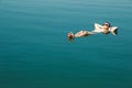 Man floating and relax in water Dead Sea. Tourism recreation, healthy lifestyle concept. Copy space. Focus on feet Royalty Free Stock Photo