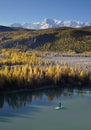 Man Floating by SUP board on Chuya River in Altai Mountains Russia