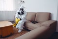 termite control kill pesticide cockroach exterminator uniform pest sofa insect. Generative AI. Royalty Free Stock Photo