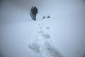 Man in fog mountain road Royalty Free Stock Photo