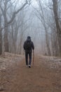 Man in a foggy forest Royalty Free Stock Photo