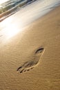 Man foot print on a white sand beach