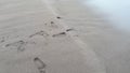 Man footprint on beach shore sand Royalty Free Stock Photo