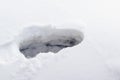 Man footprint in a winter snow. Human trace in deep snow Royalty Free Stock Photo