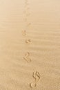 Footsteps on yellow sand on a sunny day. Footprints on beach Royalty Free Stock Photo