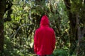 Man in forest, New Zealand Royalty Free Stock Photo