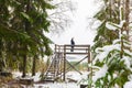 Man in the forest, Winter, landscape and high stairs. Finland Royalty Free Stock Photo