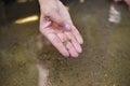 The man found gold. Contemporary lucky prospector found lot of gold in creek when panning sand. Royalty Free Stock Photo