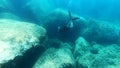 Man freediving in Alghero blue sea. Sardinia