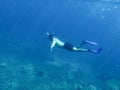 Man freediving in a sea over coral reef Royalty Free Stock Photo