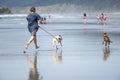A man frolics with his dogs running along the shore of the Northwest Pacific ocean