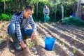 Man gardener digging soil in vegetable garden