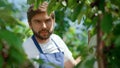 Man gardener harvesting cherry branches tree in farmland plantation portrait