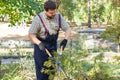 Man gardener in protective gloves with garden shears, scissors or secateurs cutting a thuja or juniper topiary hedge in public Royalty Free Stock Photo