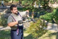 Man gardener in protective gloves with garden shears, scissors or secateurs cutting a thuja or juniper topiary hedge in public Royalty Free Stock Photo