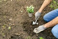 A man gardening, kneeling with a shovel and potted plant in the dirt Royalty Free Stock Photo