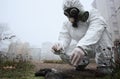 Scientist taking dead pigeon feather in test tube. Royalty Free Stock Photo