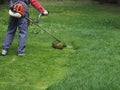 A man with a gasoline mower mows the grass in the country.