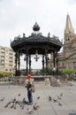 Man , gazebo, and Guadalajara Cathedral Royalty Free Stock Photo