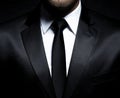 Man gentleman in black suit and tie Royalty Free Stock Photo