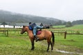 Man getting on a horse on a foggy day, mountain view in the background