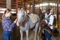 Man and girl harnessing horse in stable Royalty Free Stock Photo