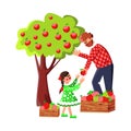 Man And Girl Harvesting Apples In Orchard Vector