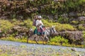 Man and girl riding a horse on a road in the Ethiopian highlands