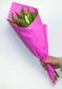 Man is giving bouquet of fresh tulip buttons covered with pink paperÃÅ½ Male hand with flowers isolated on white background. Royalty Free Stock Photo