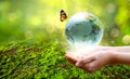 A man with a glass globe Concept day earth Save the world save environment The world is in the grass of the green bokeh background Royalty Free Stock Photo