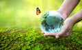 A man with a glass globe Concept day earth Save the world save environment The world is in the grass of the green bokeh background Royalty Free Stock Photo