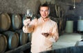 Man with glass of wine in winery cellar Royalty Free Stock Photo